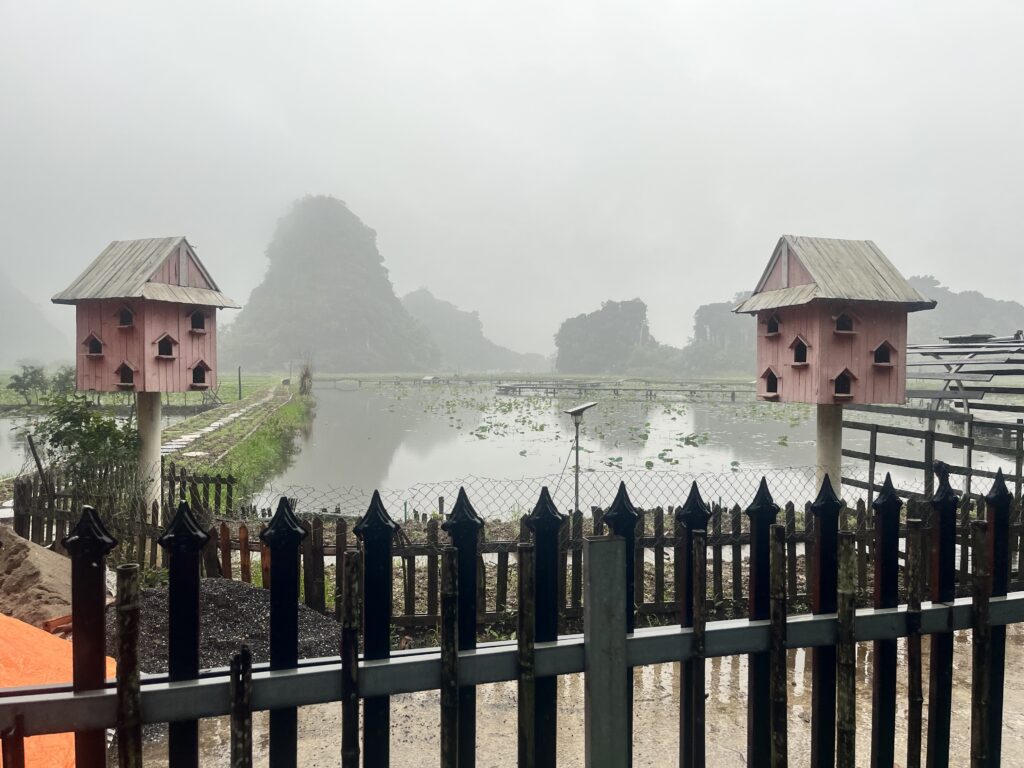 Ho chi Min city weather, Vietnam