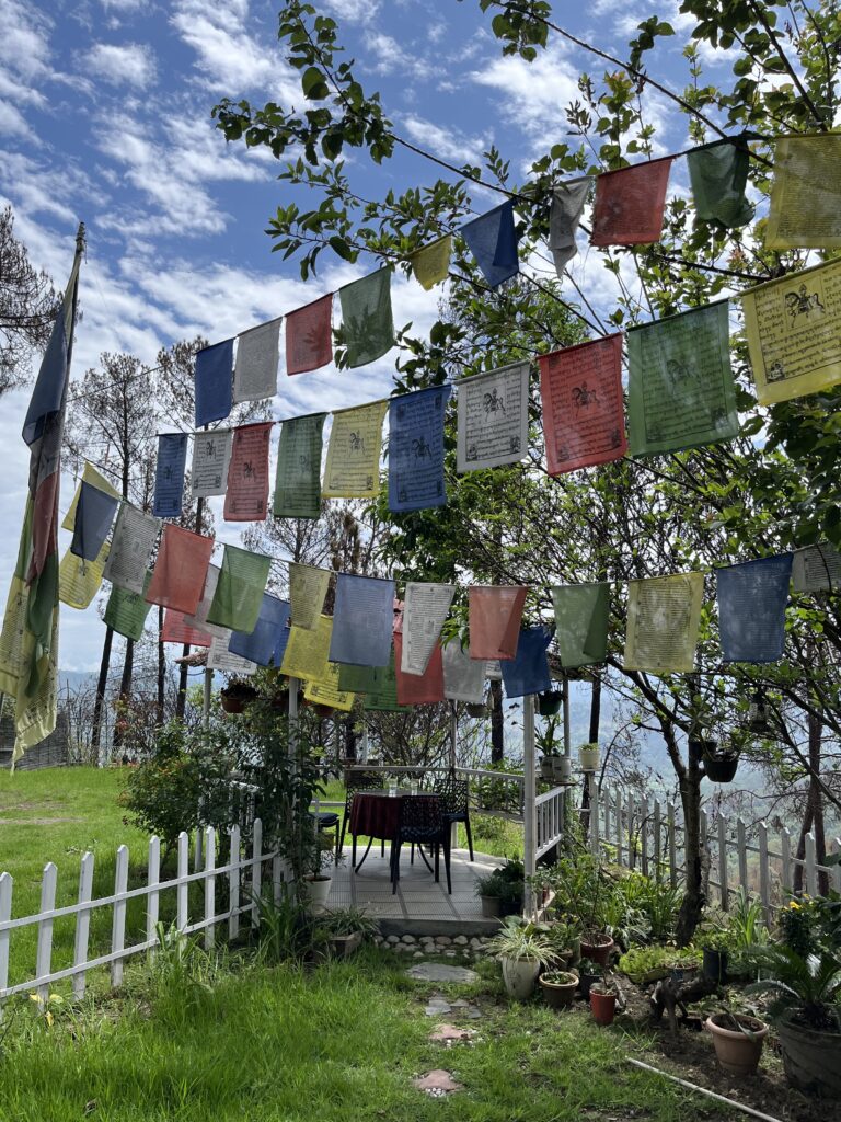 Buddhist flags in Ranikhet adds charm to the atmosphere.